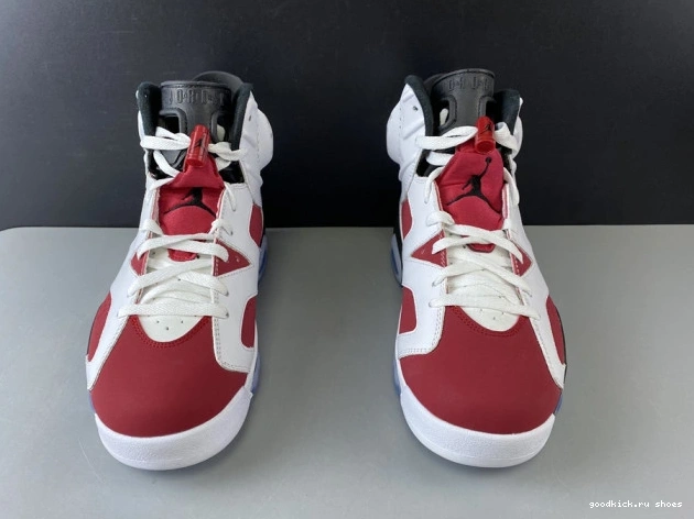 Rep RETRO 6 AIR 384664-160 2014 'CARMINE' JORDAN 0729